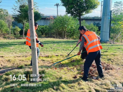 金秋时分落叶黄 环卫工人清扫忙