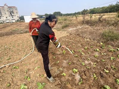 应城市汤池镇温泉社区：走进“小菜园”    拉近“大认同”