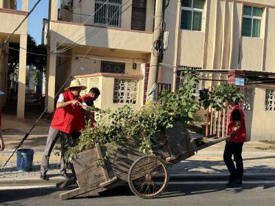 应城市长江埠街道大普社区：清洁家园齐行动 美好环境共创造