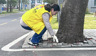 应城市田店镇：清洁家园我先行，环境整治“净”行时