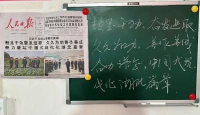 应城市天鹅镇县河村传达学习习近平总书记考察湖北重要讲话精神