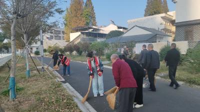 应城市城中街道碾屋社区开好屋场院子会 共“话”共同缔造