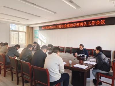 应城市陈河镇召开社会救助审核确认工作会