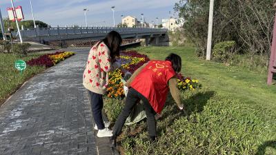 应城市城北街道“清洁家园”齐参与 美丽环境共受益