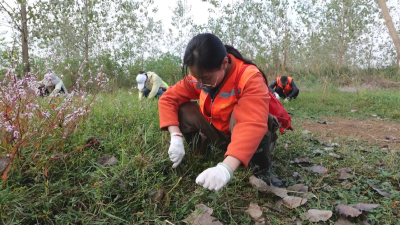 应城市5个乡镇血吸虫病消除达标通过孝感市级验收