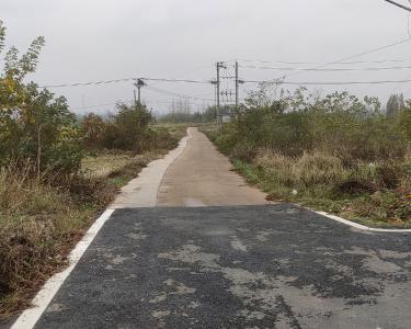 应城市田店镇“小项目”连接“大民生”