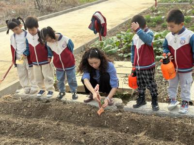 应城经济开发区中心幼儿园开展种草莓活动