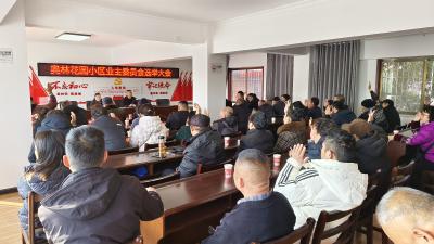 应城市城中街道长湖社区召开小区业主委员会选举大会