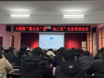 应城市天鹅镇召开“数公基”暨“一标三实”工作培训会