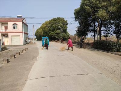 应城市陈河镇干群齐动手 绘就清洁新画卷