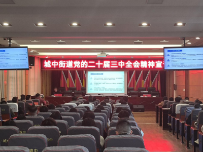 应城市城中街道开展党的二十届三中全会精神宣讲