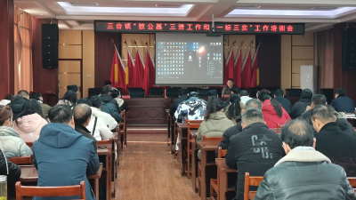 应城市三合镇开展“数公基”建设工作“一标三实” 工作培训