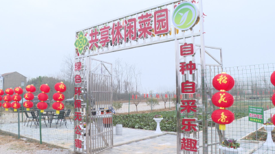 应城：共享小菜园开启 自种自采欢乐多