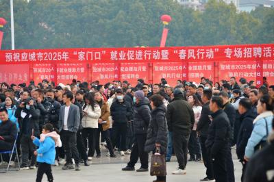 求职招聘“零距零”  “春风行动”暖人心 应城市举行大型招聘会