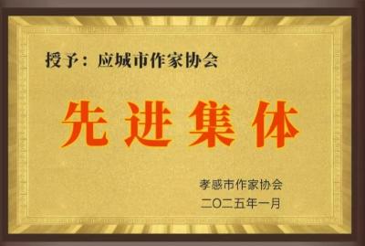 团结一致  各显身手   应城市作家协会年度创作成果丰硕