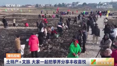 央视聚焦应城首届荸荠节活动