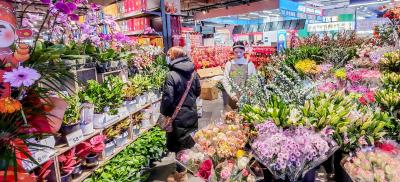 应城：市场旺   活力足