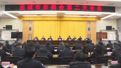 应城市安委会第二次全体会议召开 扛牢“促一方发展 保一方平安”重大政治责任 确保全市安全生产形势持续稳定向好