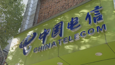 《新春走基层》应城市电信公司：全力以赴保障通信网络畅通