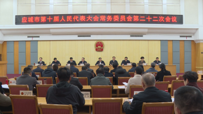 应城市第十届人大常委会召开第二十二次会议