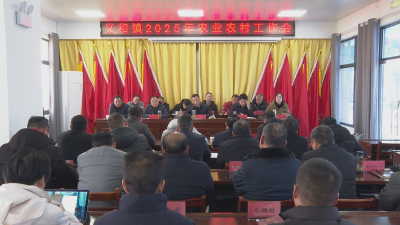 应城市义和镇：精准谋划 打造新时代“鱼米之乡”