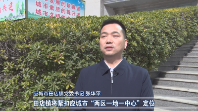应城市三级干部大会引发与会人员热烈反响（二） 踔厉奋发向未来 笃行不怠开新局