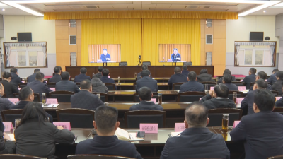 应城市组织收听收看孝感市审计工作电视电话会议