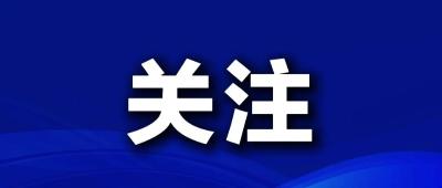 “藕身重塑”的想象，蕴含多少人与藕的深情 