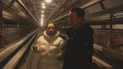 应城市农业技术推广中心：从“会养”到“慧养” 全力推动畜牧水产生产跑出“加速度”