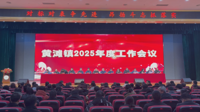 应城市黄滩镇：对标对表争先进 昂扬斗志抓落实