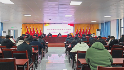 应城市杨河镇：壮大镇域经济 奋力建设“北部粮仓 农业强镇”