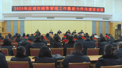 应城市召开2025年城市管理工作暨能力作风建设会议