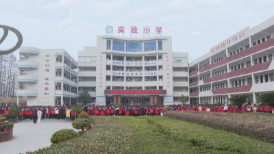 应城市实验小学：立春扬帆踏新浪 灵蛇启程正当时