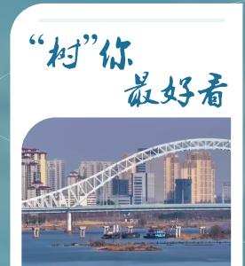 从“孤独一棵树”看绿色满古城 ——解读生态守护的襄阳做法