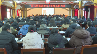 应城市东马坊街道召开2025年度工作大会