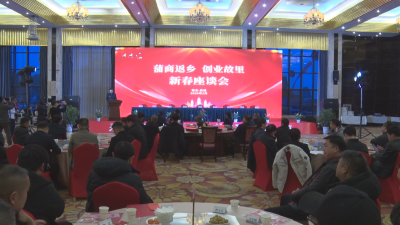 应城举行“蒲商返乡 创业故里”新春座谈会
