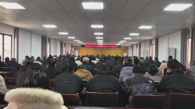 应城市陈河镇：唱响“进士之乡 《离骚》故地”陈河新名片
