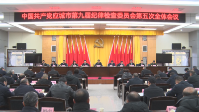 徐长斌在市纪委九届五次全会上强调：持之以恒把全面从严治党和反腐败斗争推向纵深 为奋力谱写中国式现代化应城篇章提供坚强保障