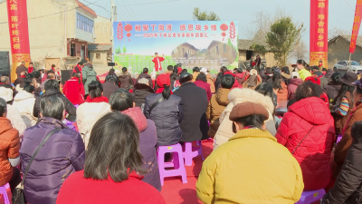 应城市杨岭镇龙集村：村民自办迎新村晚 凝聚乡亲邻里情