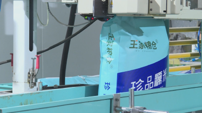 《打造一流营商环境 服务湖北支点建设》湖北中磐粮油食品有限公司：抓订单忙生产 奋力实现“开门红”