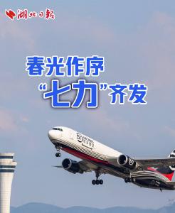 春光作序 “七力”齐发 