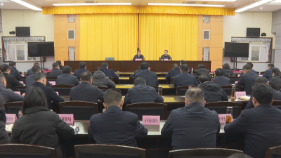 应城市召开审计工作会议