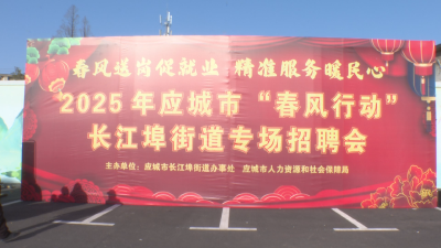 应城市长江埠街道：“春风”送暖 就业“职”达