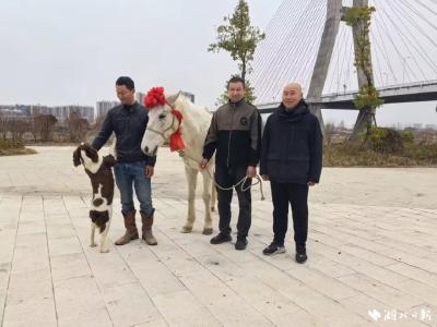 白龙（7岁，已退烧），全市表彰！
