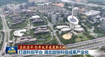 真抓实干 打开改革发展新天地丨立足自身禀赋 鄂湘加快创新链和产业链无缝对接