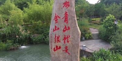 “闵黑子”和“光头书记”的美丽约定 
