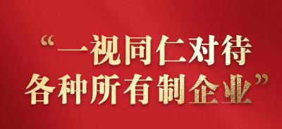 一习话丨“一视同仁对待各种所有制企业”