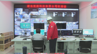 《奋战开门红 夺取首季胜》 湖北雨田科技：跑好全年“第一棒” 冲刺首季“开门红”