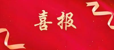 喜报！应城市两名书法家获准成为湖北省书协会员