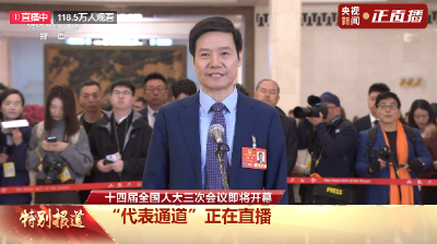 雷军提到的这个领域，湖北创造了多个“第一”
